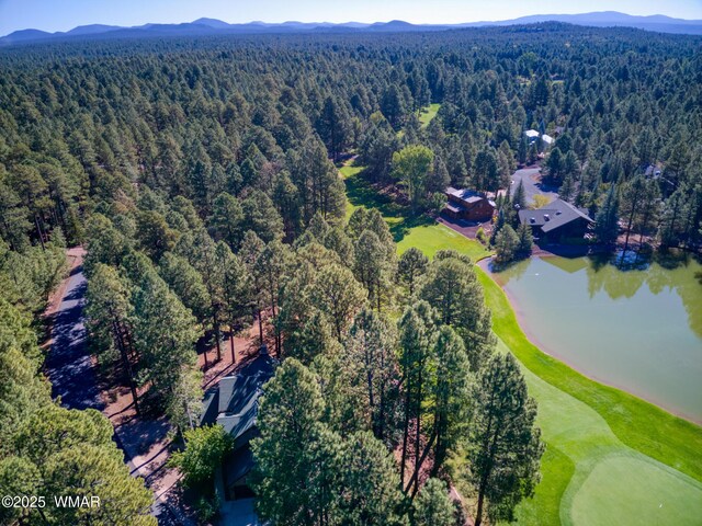 4053 Deep Forest Dr, Pinetop, AZ 85935 - photo 19