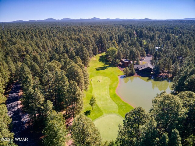 4053 Deep Forest Dr, Pinetop, AZ 85935 - photo 14