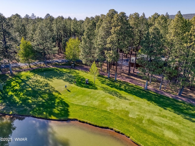 4053 Deep Forest Dr, Pinetop, AZ 85935 - photo 18
