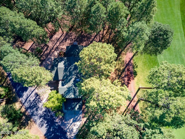 4053 Deep Forest Dr, Pinetop, AZ 85935 - photo 53