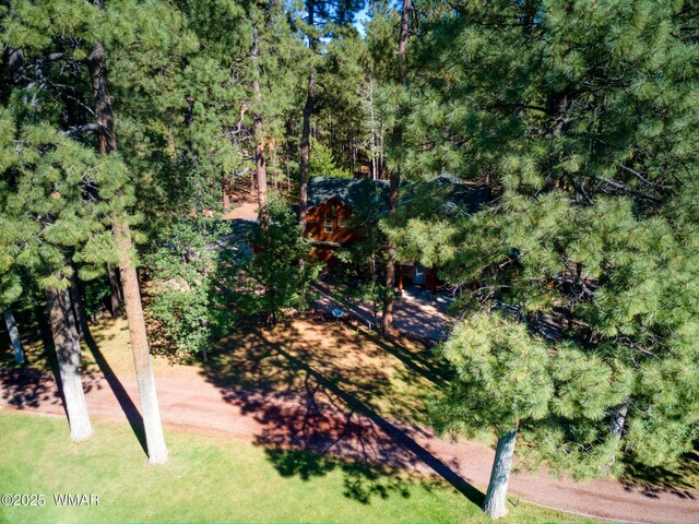 4053 Deep Forest Dr, Pinetop, AZ 85935 - photo 47