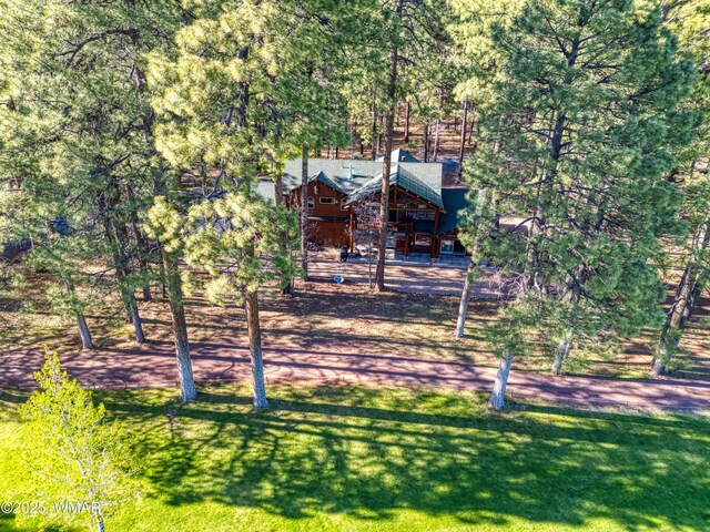 4053 Deep Forest Dr, Pinetop, AZ 85935 - photo 57