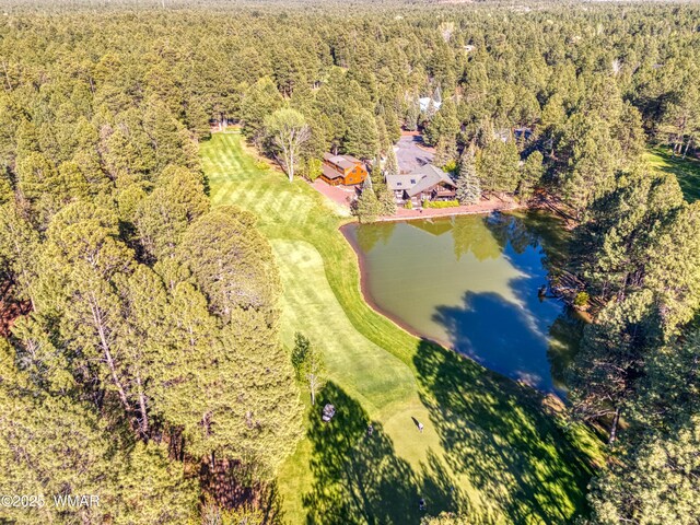 4053 Deep Forest Dr, Pinetop, AZ 85935 - photo 55