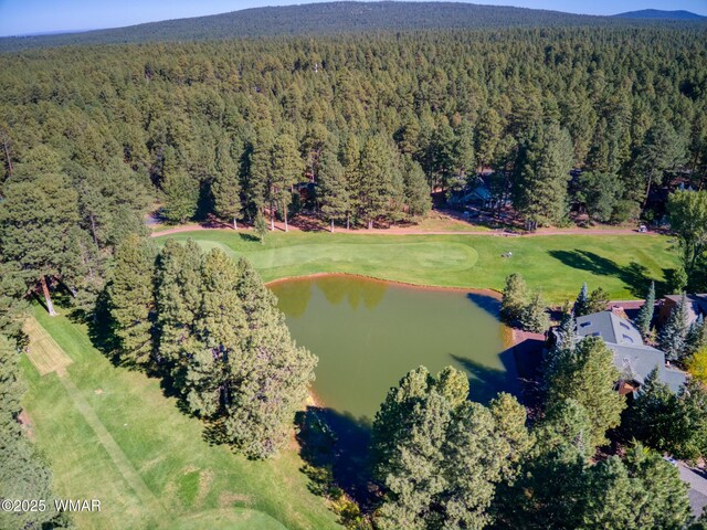 4053 Deep Forest Dr, Pinetop, AZ 85935 - photo 52