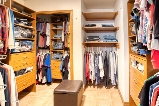 view of spacious closet