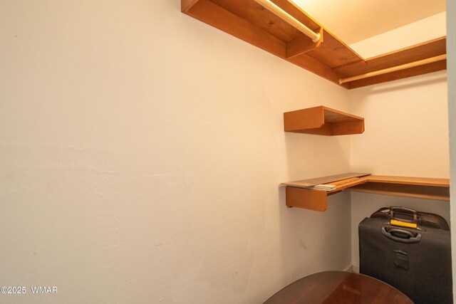 view of walk in closet