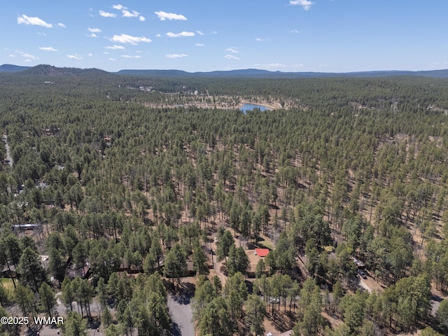 bird's eye view with a view of trees and a mountain view