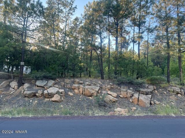 2670 Lockwood Dr, Lakeside AZ, 85929 land for sale