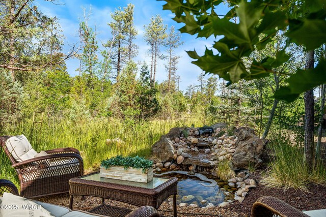 5400 N Saint Andrews Dr, Lakeside, AZ 85929 - photo 29