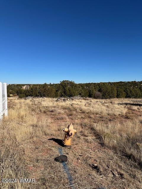 8420 Silver Creek Dr, Show Low, AZ 85901