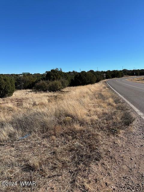 8420 Silver Creek Dr, Show Low, AZ 85901
