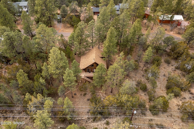 bird's eye view