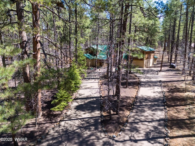 2761 Blue Lupine Ln, Pinetop, AZ 85935 - exterior space