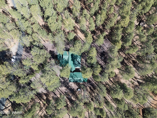 2761 Blue Lupine Ln, Pinetop, AZ 85935 - bird's eye view