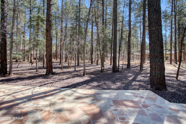 2761 Blue Lupine Ln, Pinetop, AZ 85935 - exterior space