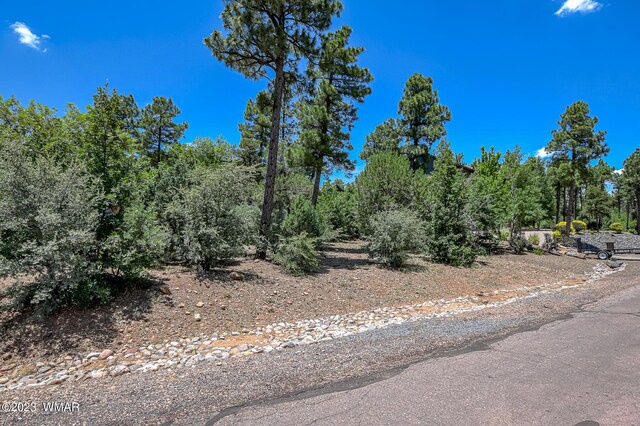 6038 Orion Dr, Lakeside, AZ 85929 - photo 100