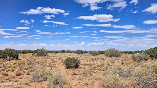 9658 E Concho Hwy, Snowflake, AZ 85937 - photo 3