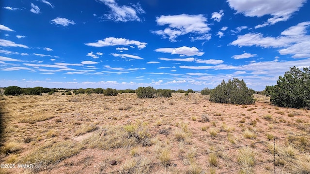 9658 E Concho Hwy, Snowflake, AZ 85937 - photo 5