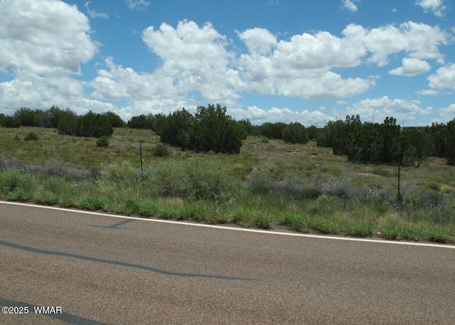 9658 E Concho Hwy, Snowflake, AZ 85937 - photo 6