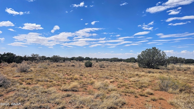9658 E Concho Hwy, Snowflake, AZ 85937 - photo 2