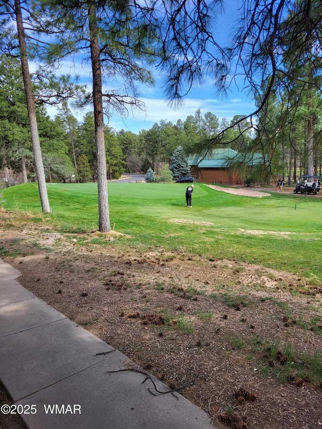 3471 W Old Linden Rd, Show Low, AZ 85901 - photo 6