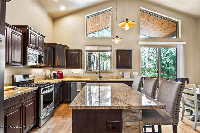 kitchen with dark brown cabinets, light stone countertops, appliances with stainless steel finishes, and a sink