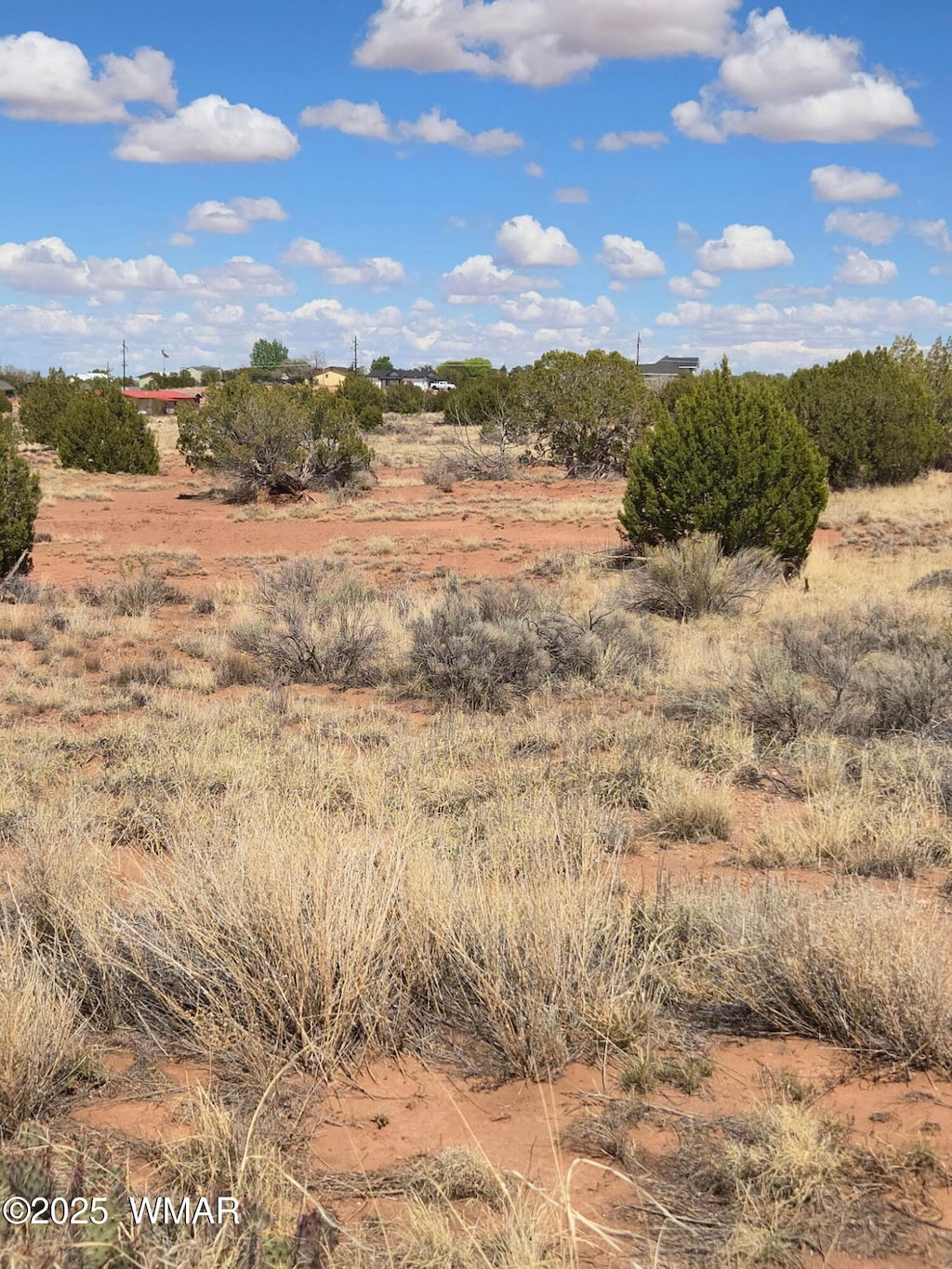4.02 Dewitt, Snowflake, AZ 85937