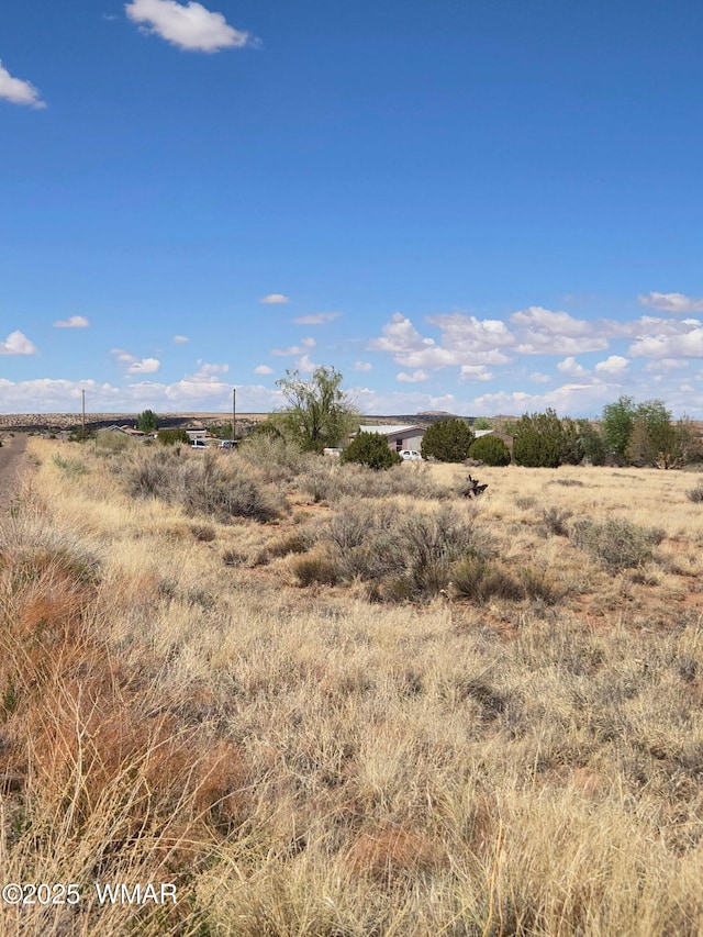 4.02 Dewitt, Snowflake, AZ 85937