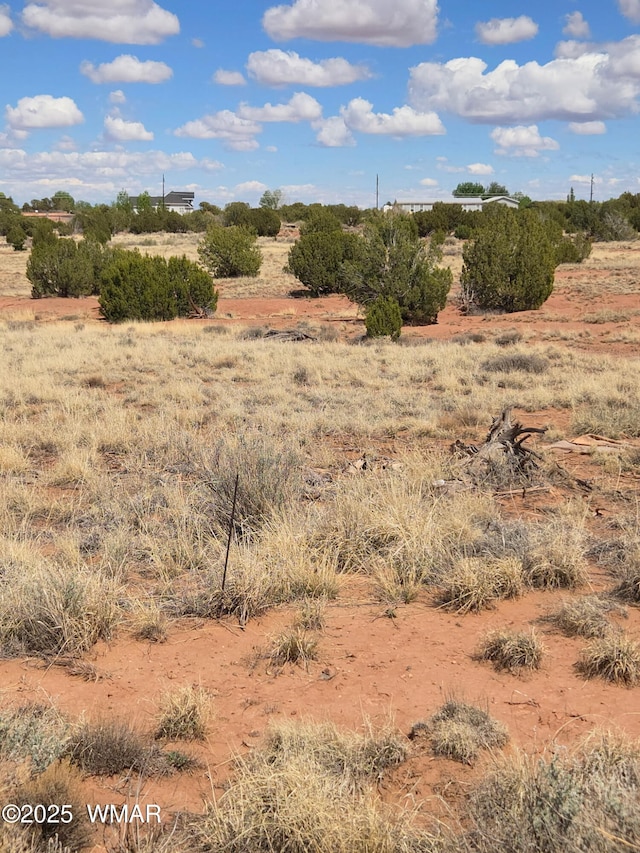4.02 Dewitt, Snowflake, AZ 85937