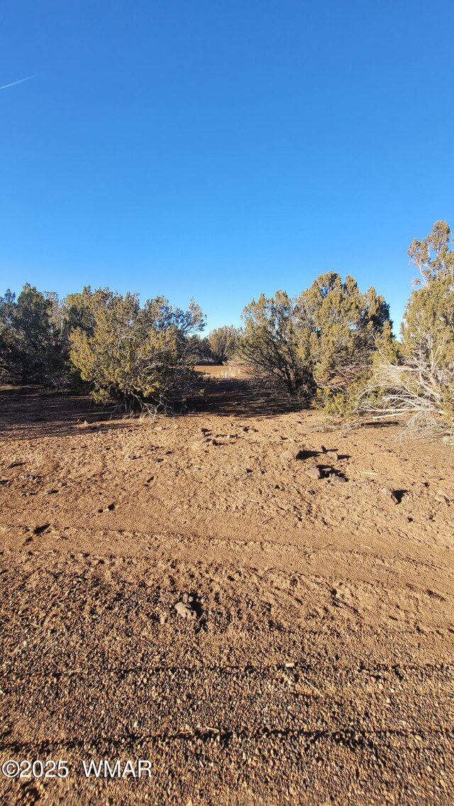 8744 Coronado Dr, Show Low, AZ 85901 - photo 15