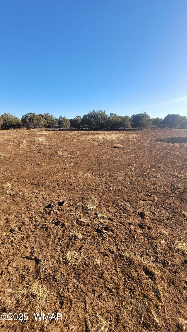 8744 Coronado Dr, Show Low, AZ 85901 - photo 7