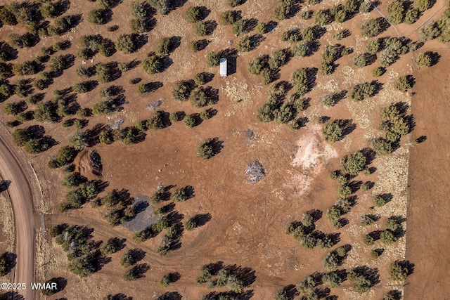 8744 Coronado Dr, Show Low, AZ 85901 - photo 3