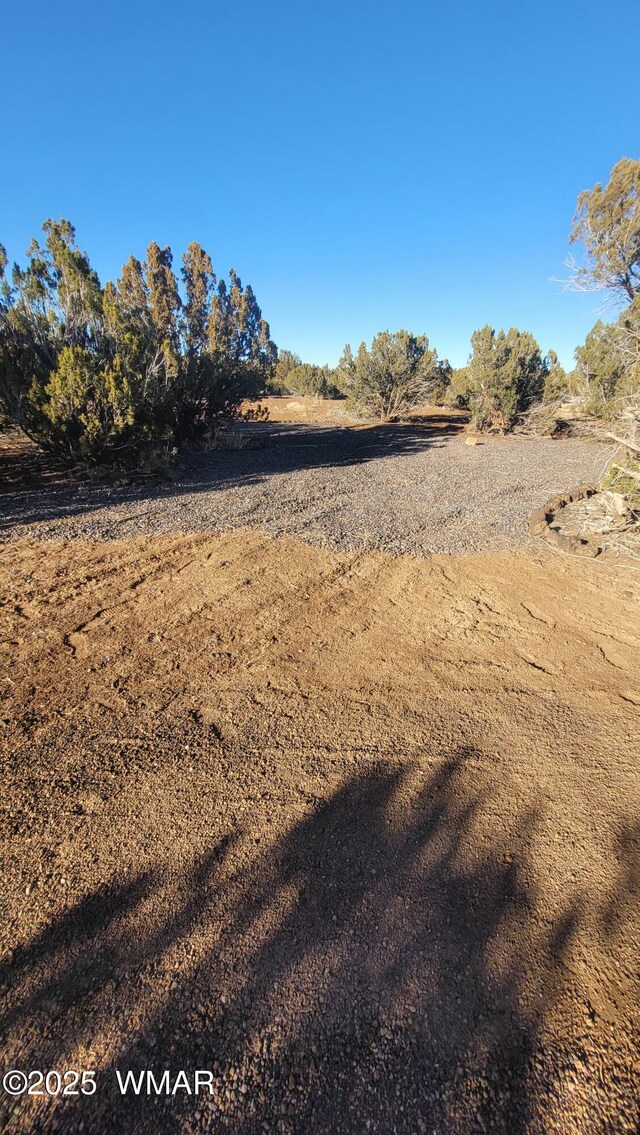 8744 Coronado Dr, Show Low, AZ 85901 - photo 9