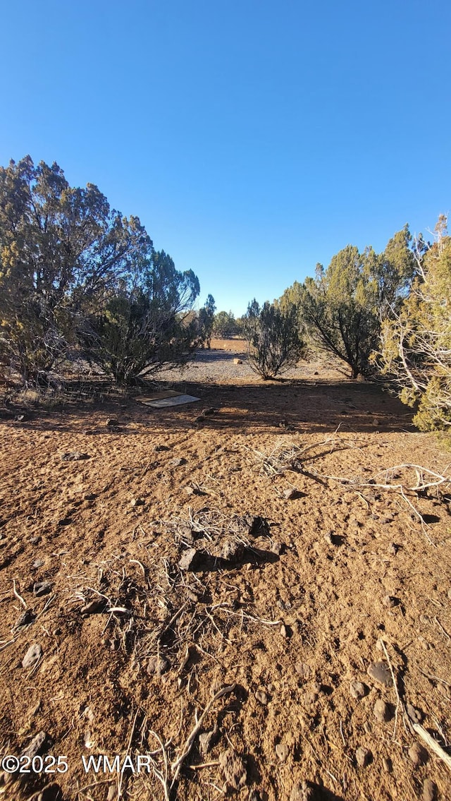 8744 Coronado Dr, Show Low, AZ 85901 - photo 6