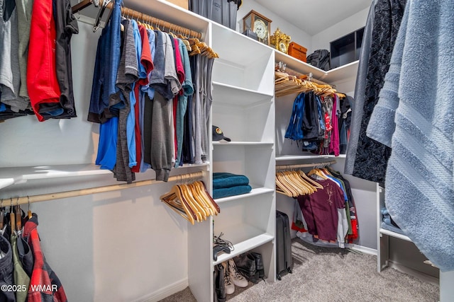 walk in closet with carpet