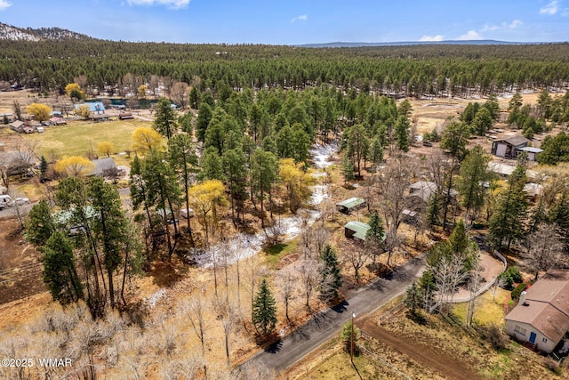 1571 E Spruce Ln, Pinetop, AZ 85935 - photo 35