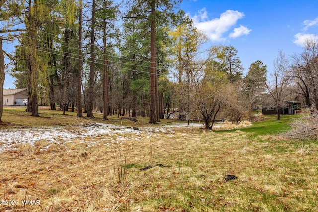 1571 E Spruce Ln, Pinetop, AZ 85935 - photo 33