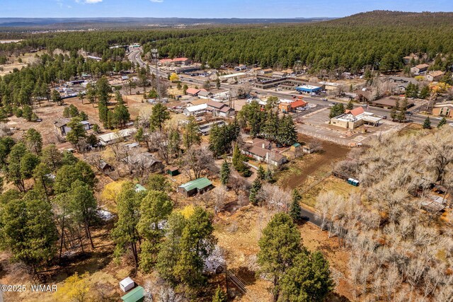 1571 E Spruce Ln, Pinetop, AZ 85935 - photo 38
