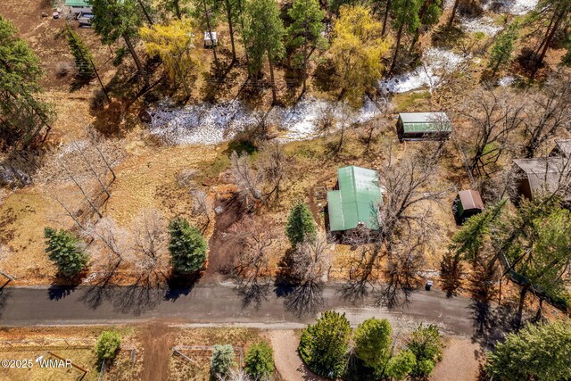 1571 E Spruce Ln, Pinetop, AZ 85935 - photo 36