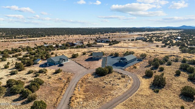 aerial view featuring a desert view and a rural view