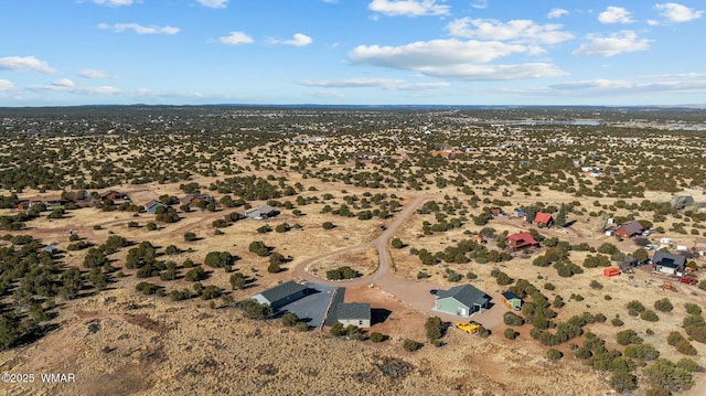 drone / aerial view featuring a desert view