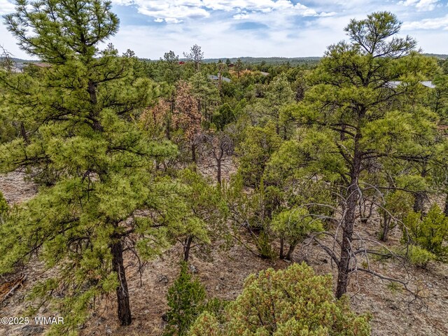 640 S Creekside Dr, Show Low, AZ 85901