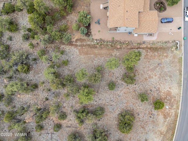 640 S Creekside Dr, Show Low, AZ 85901