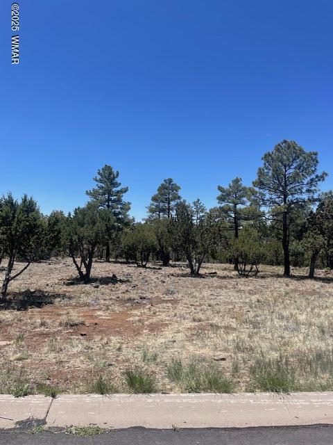 640 S Creekside Dr, Show Low, AZ 85901