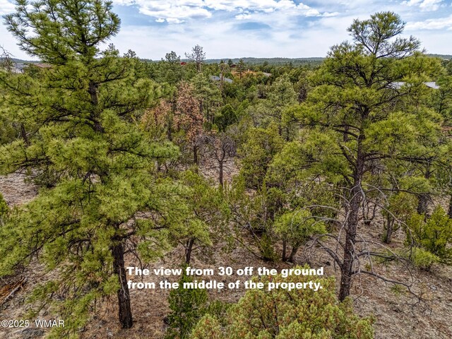 640 S Creekside Dr, Show Low, AZ 85901