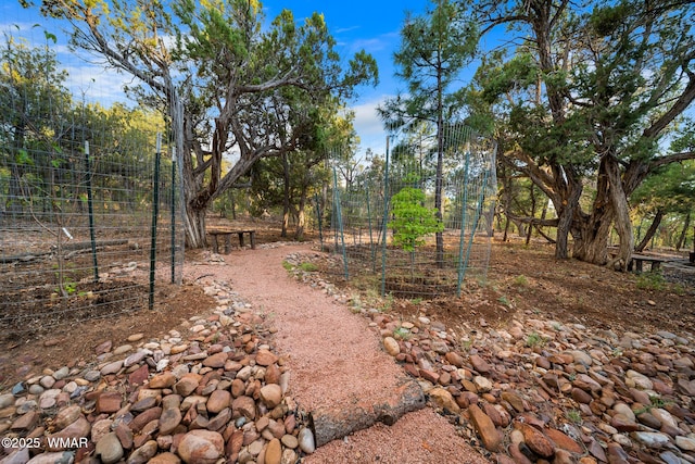 1581 W Snow Creek Trl, Show Low, AZ 85901 - photo 67