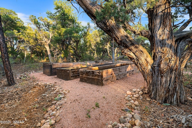 1581 W Snow Creek Trl, Show Low, AZ 85901 - photo 70