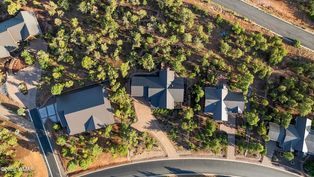 1581 W Snow Creek Trl, Show Low, AZ 85901 - photo 81