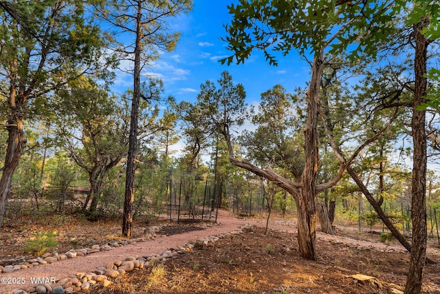 1581 W Snow Creek Trl, Show Low, AZ 85901 - photo 69