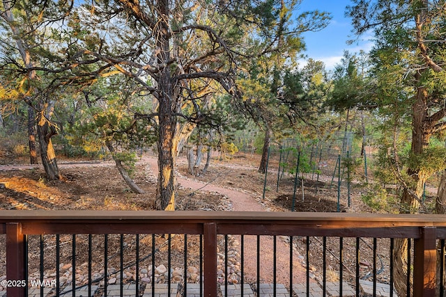 1581 W Snow Creek Trl, Show Low, AZ 85901 - photo 76